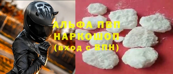 молекула духа Няндома