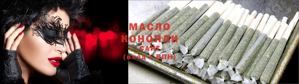 молекула духа Няндома