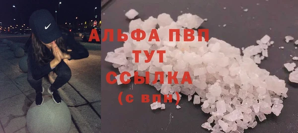 молекула духа Няндома