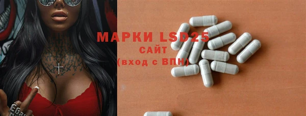 mdpv Новодвинск
