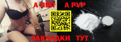 крисы Абакан