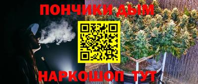 крисы Абакан