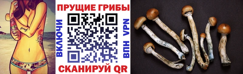 Галлюциногенные грибы мухоморы  Абакан 
