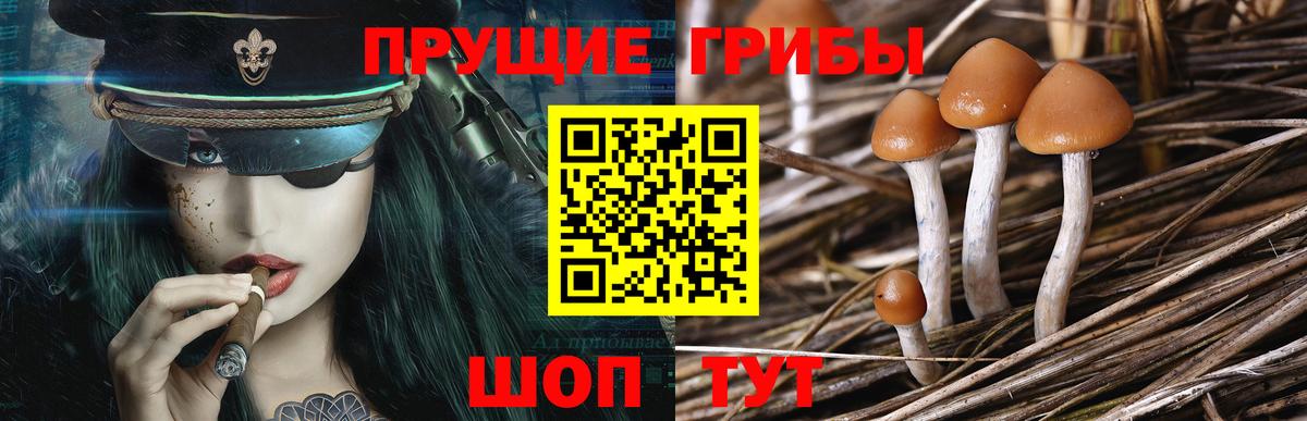 Галлюциногенные грибы ЛСД  Галлюциногенные грибы MAGIC MUSHROOMS  Абакан  Вход с VPN 